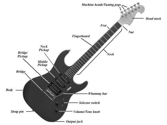 Parts Of A Guitar Diagram Showing All Guitar Parts