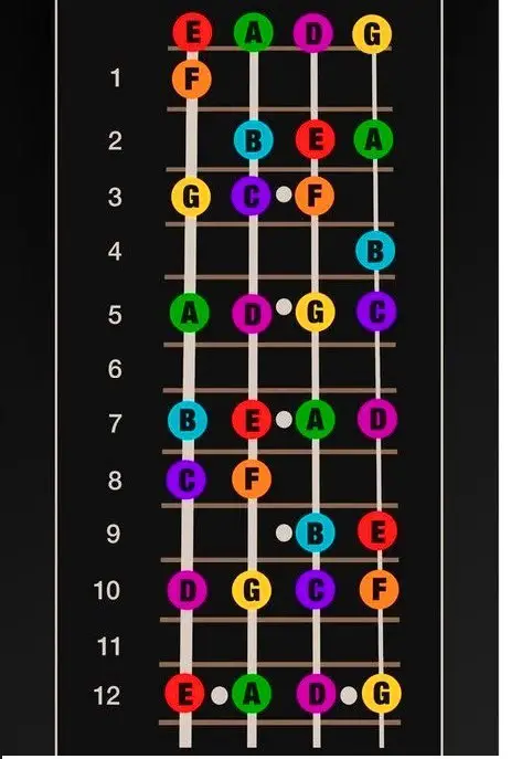 Learn to Play Bass Guitar Notes