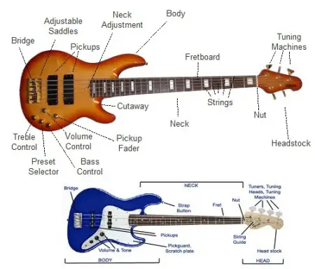 Bass Guitar Diagram : 6 Strings Natural Electric Bass Guitar Maple Body ...