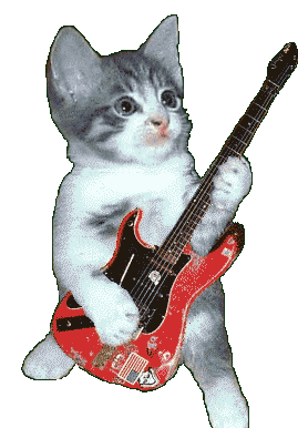 Cat rocker plays guitar, animated gifs