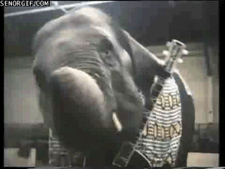Elephant plays guitar, animated gifs