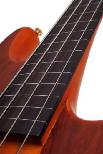 Fretless Bass Guitar