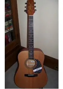 Jasmine S35 by Takamine Acoustic Guitar,