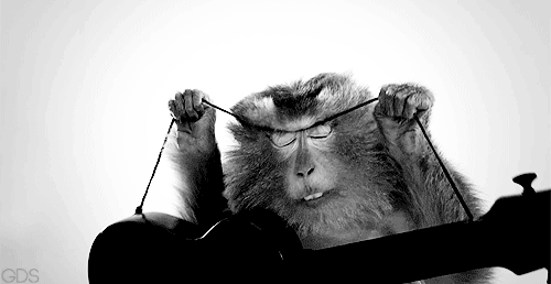 monkey plays guitar, animated gifs
