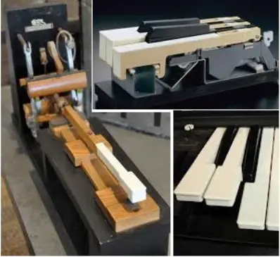 Various Piano Action