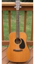 Takamine acoustic electric Guitars
