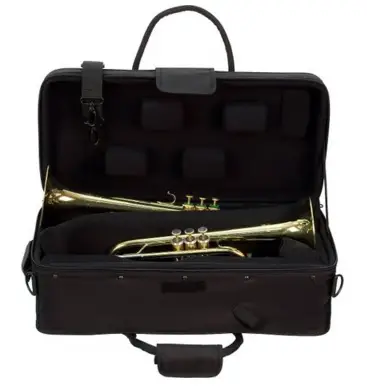 trumpet cases and gig bags