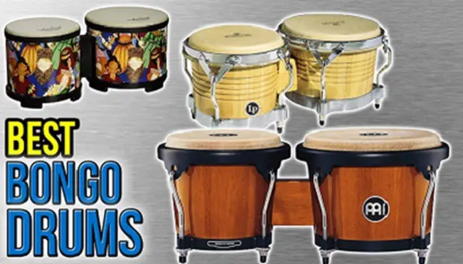 best bongo drums