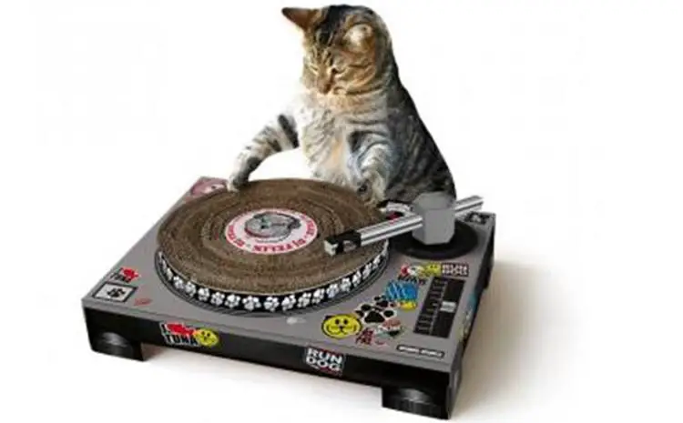 Cardboard Scratching DJ Deck for Cats