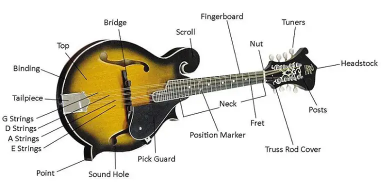 F-style Mandolin parts, diagram