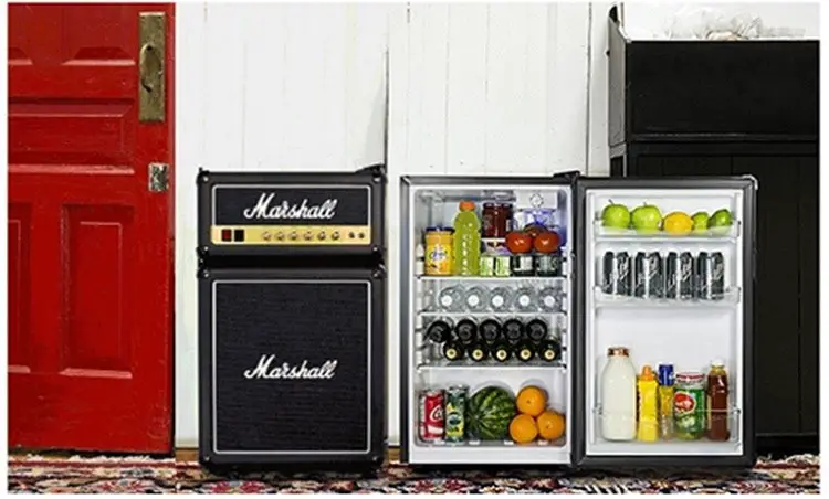 Marshall mini refrigerator