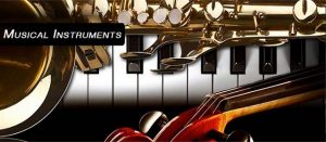 musical instruments guide