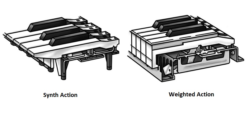 piano action in casio digital pianos