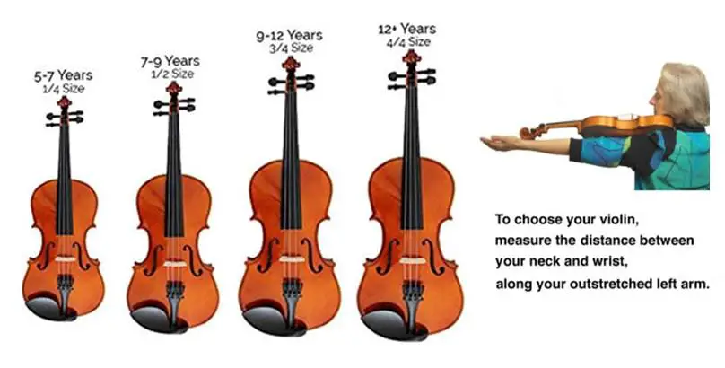 various violin sizes