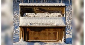 Winter tips for piano