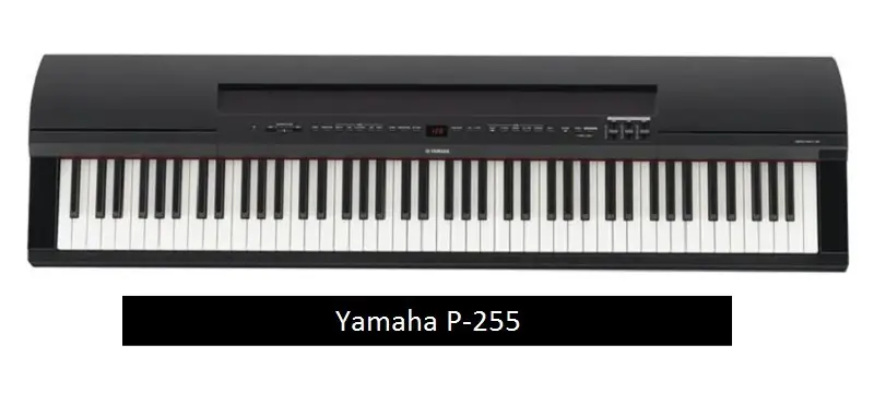 Yamaha P-255 digital Piano